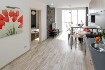 Reformas y Obra Nueva